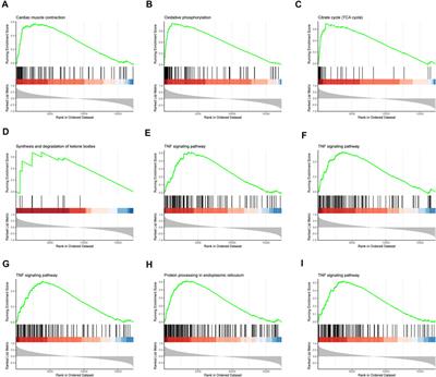 Identification of Crucial Genes and Infiltrating Immune Cells Underlying Sepsis-Induced Cardiomyopathy via Weighted Gene Co-Expression Network Analysis